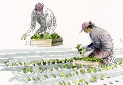 Peinture d'une femme est en train de planter des plants à genoux dans un champ sous différents points de vue.